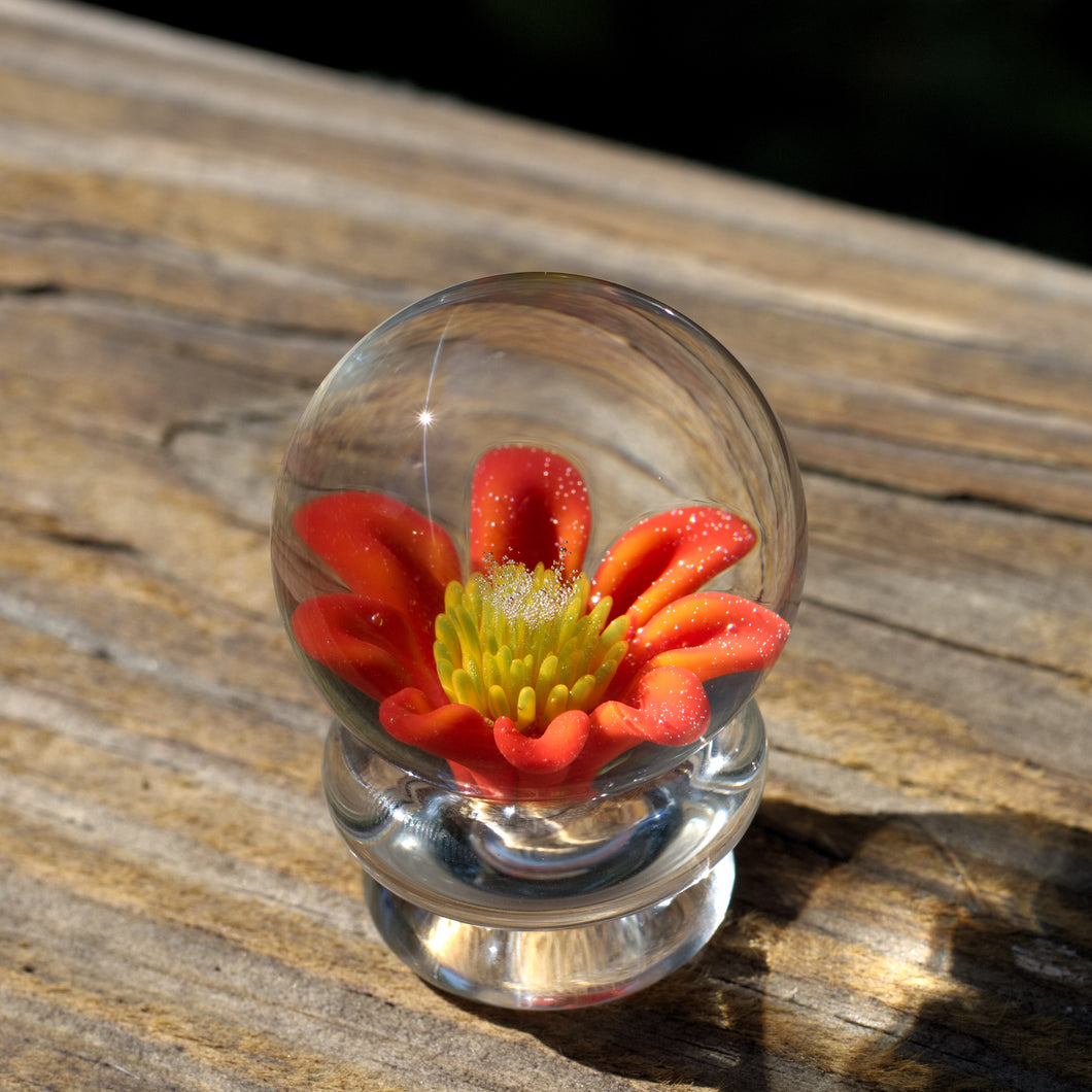 Red Coneflower Marble