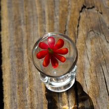 Load image into Gallery viewer, Red Coneflower Marble
