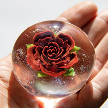 Load image into Gallery viewer, Red Rose Paperweight for Ashes
